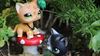Lps Quest Rangers: Episode 1| Lost in "wonderland"