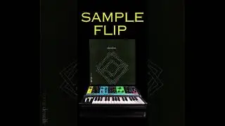 Alan Parker Sample Flip  #boombapbeatmaking #hiphop#sampledbeats #abletonlive #beatmaking #oldschool
