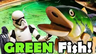 DVAD: GREEN Fish!