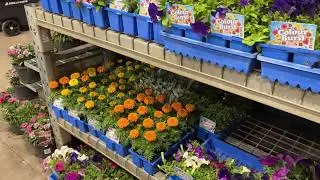 Nepali's Vlog in Australia Shopping for Dashin | Prem Oli Vlog #premoli