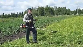 Бензокоса Карвер 0,43 косим горчицу