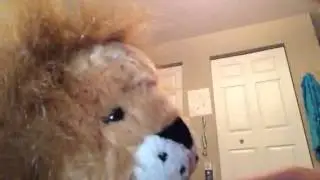 Webkinz Katy Perry Roar ( that's not all my webkinz and the