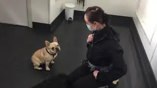 TPSC Daycare PP Marty Wipe Your Paws