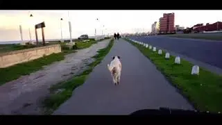 Las aventuras de jimy - Paseo en Bici