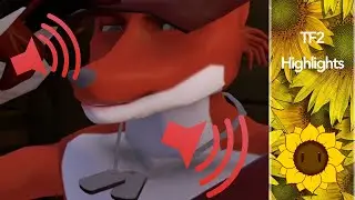 earrape and furries // TF2 Highlights