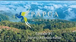 RoFA & Friends - Papua Tour Maret 2022 Teaser