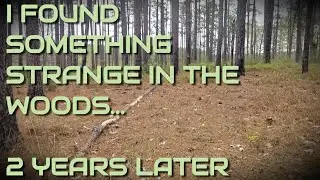 I Found Something Strange In The Woods...   2 Years Later