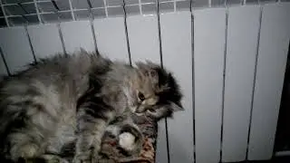 Играемся
