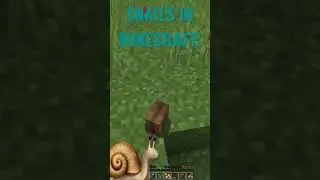 We found Snails - Better Minecraft Exploration 