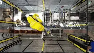 Multi-Conveyor featured with Hamrick, Lantech and Fanuc!