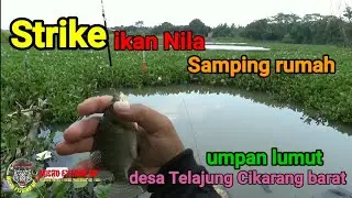 spot samping rumah mancing ikan nila