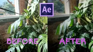 Cara Buat Color Grade Cinematic - After Effect