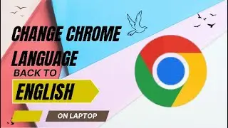 How to Change Google Chrome Language back to English