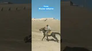 Оскар жаска чобагон