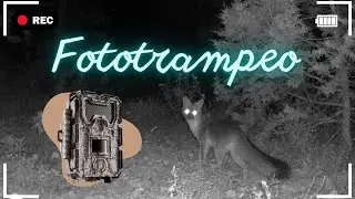 ¿Qué es el fototrampeo y para qué sirve?