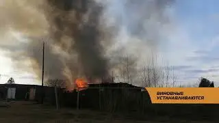 Виновные устанавливаются