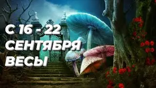 ❤️ВЕСЫ. ♎️С 16 - 22 сентября 2024.♎️