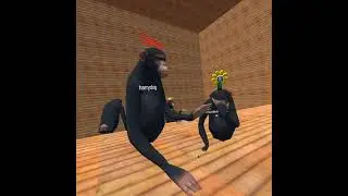 MEETING HARRYDOG IN CURIOUS CHIMPS FOR THE FIRST TIME *harrydog*