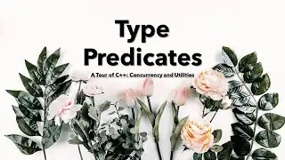 Type Predicates ( A Tour of C++: Concurrency and Utilities )
