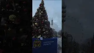 Москва/ВДНХ/Найди елку своего региона/Новый 2024 год/елки России часть 1
