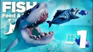 Fish Feed And Grow With Webcam