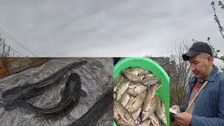 Шымбай Балык Базар/ Шымбай Рыба/ 🐟🐟🐟