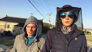 Работа в Корее (Арбайт)
