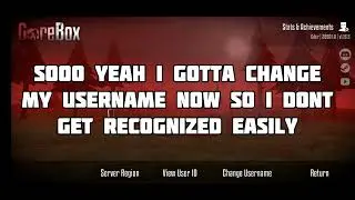 met a Hacker & got recognized | GoreBox Shenanigans 2