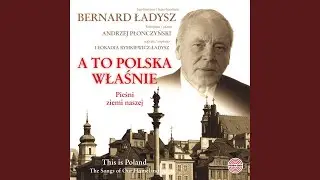 Wszystkie Nasze Dzienne Sprawy