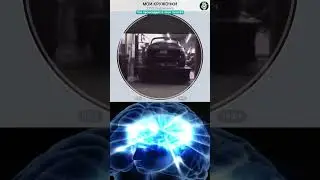 #приколы