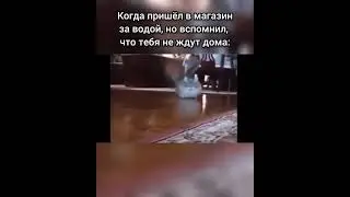 Жизнь ьнь но ь