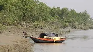 Exploring the Enchanting Beauty of the Sundarbans: Nature's Masterpiece//explore worldwide//