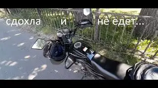 Альфа умерла и не едет