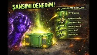 WolfTeam WT kutu Açılımı
