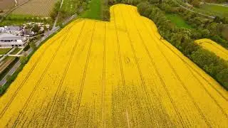 Green fields relaxing piano to inner peace  1h