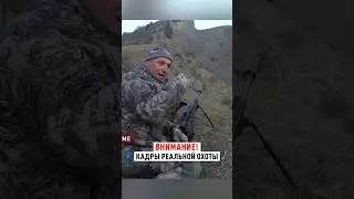 New film on the Trophy Hunting channel: Urial Hunting in Tajikistan. 