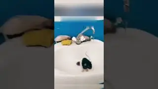 ЖИЗНЬ ОБЩАЖНАЯ