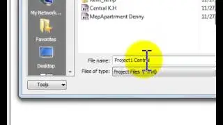 Revit Central Model
