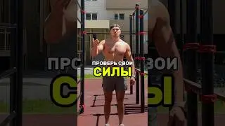 Проверь свои силы 