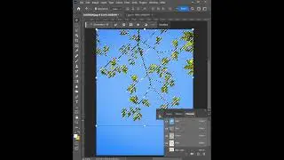 Remove tree background in photoshop
