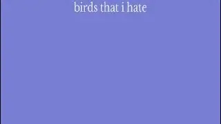 those freaking birds