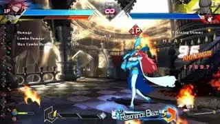 Nine/Liz 17.5k punish combo
