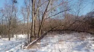 Барановская про гордона рассказала !