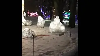 Парк Юность г. Калининград