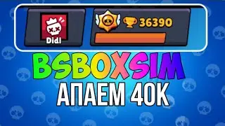 АПАЕМ 40К КУБКОВ В BS BOX SIM.