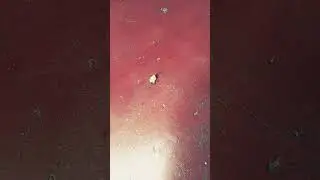 #funny