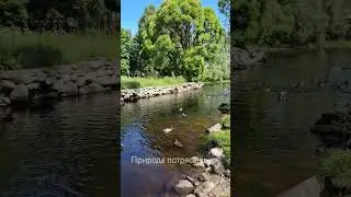 Природа Карелии