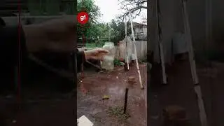 'Chuva preta', com odor de fuligem, volta a atingir o Rio Grande do Sul | 