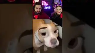 É MUITA INFORMAÇÃO 🤯