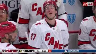 Michael Bunting high sticks Andrei Svechnikov